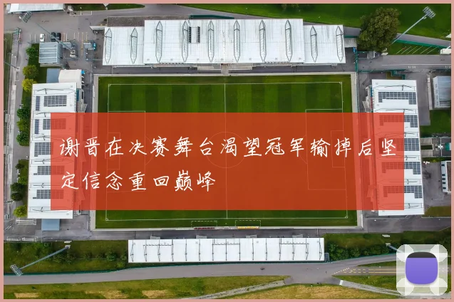 谢晋在决赛舞台渴望冠军输掉后坚定信念重回巅峰