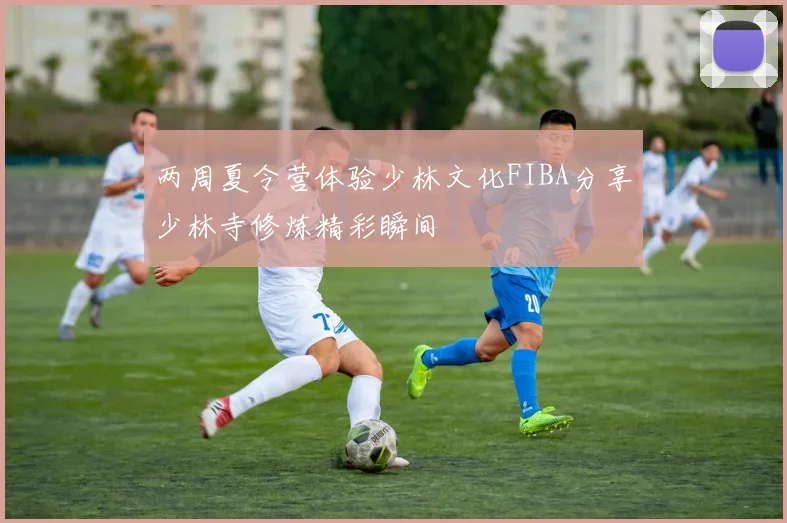 两周夏令营体验少林文化FIBA分享少林寺修炼精彩瞬间