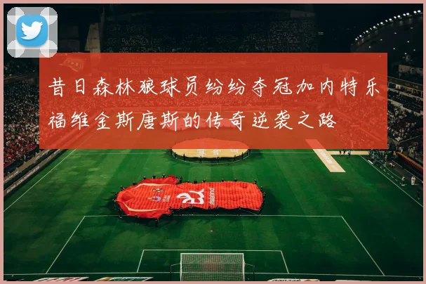 昔日森林狼球员纷纷夺冠加内特乐福维金斯唐斯的传奇逆袭之路